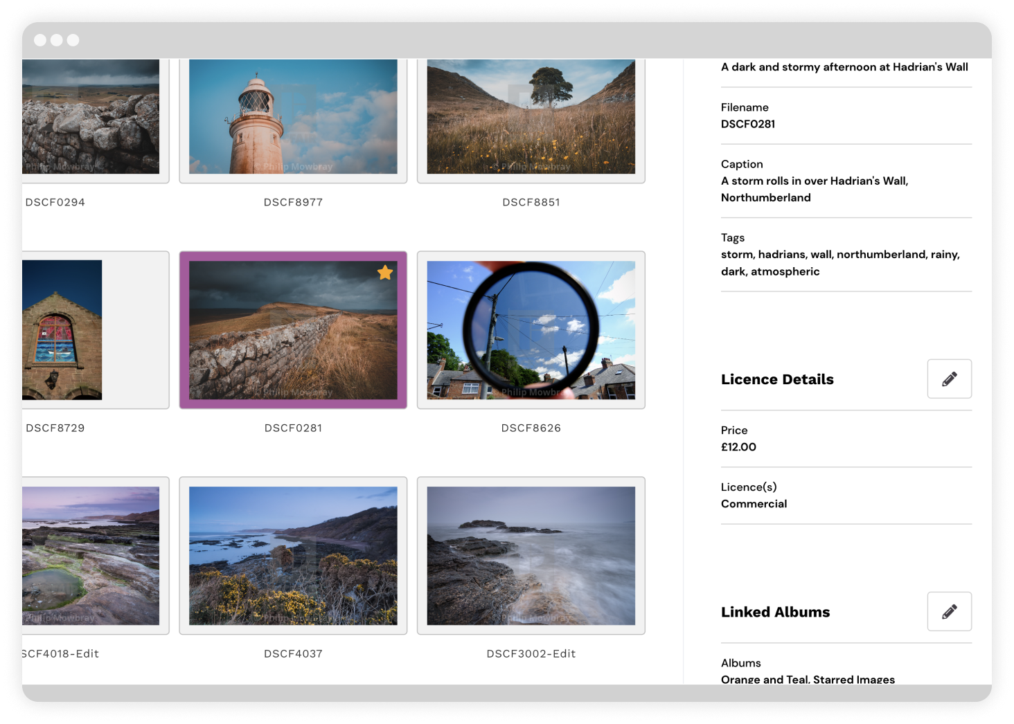 Focus: How you should tag photos in your Picfair Store: The Ultimate Guide