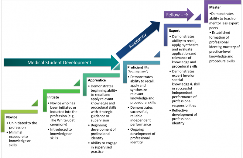 From Novice to Master Faculty Instructional Development
