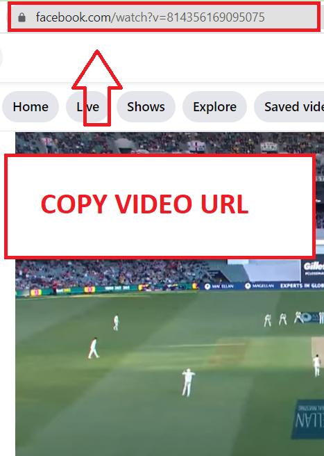 Copy TED Video URL