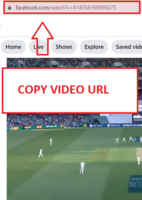 online facebook video downloader