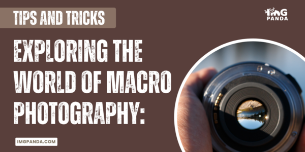 Exploring the World of Macro Photography: Tips and Tricks