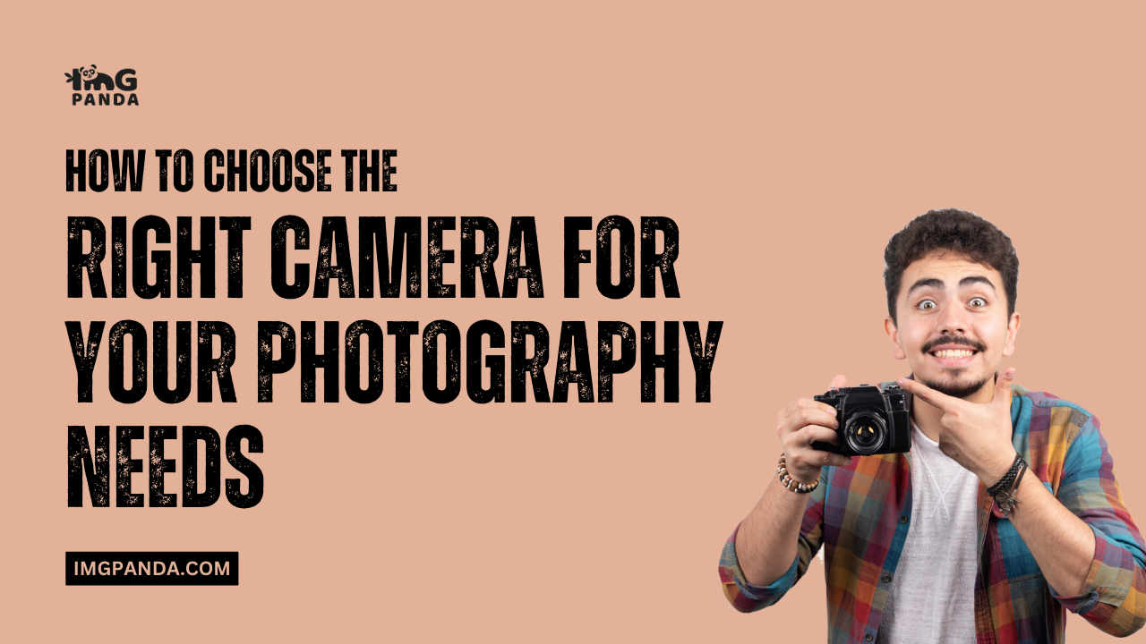 How To Choose The Right Camera For Your Photography Needs – IMGPANDA ...