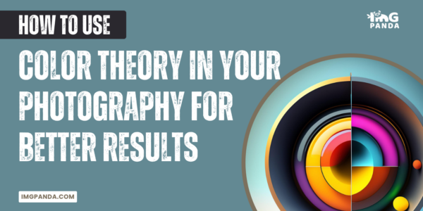 How to Use Color Theory in Your Photography for Better Results