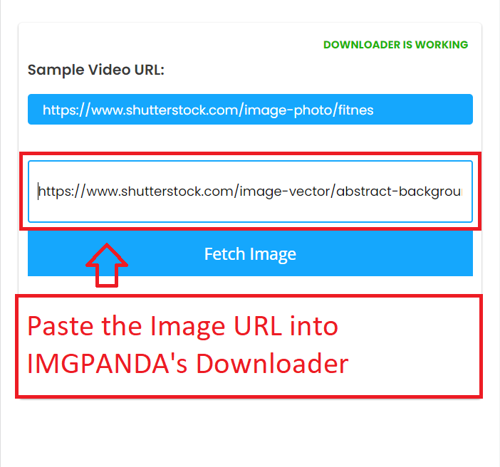 Paste URL and Click on the Fetch Button