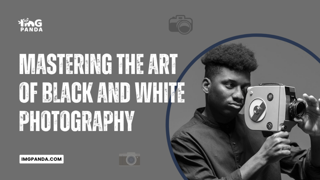 Mastering the Art of Black and White Photography