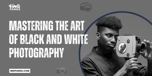Mastering the Art of Black and White Photography
