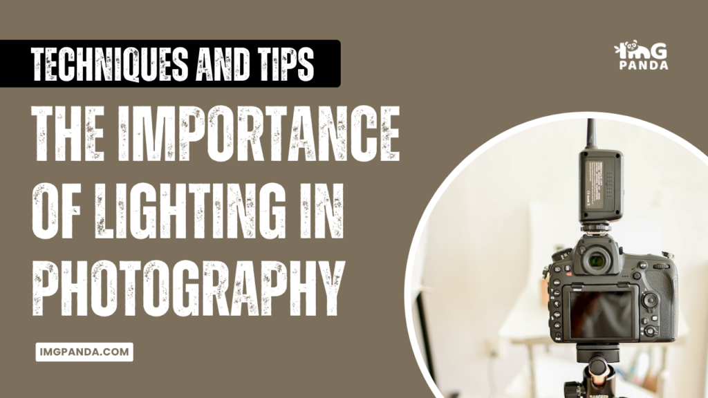 The Importance of Lighting in Photography: Techniques and Tips