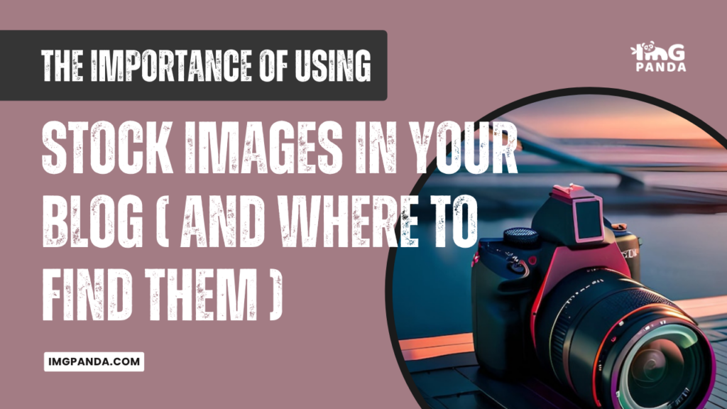 The Importance of Using Stock Images in Your Blog (And Where to Find Them)