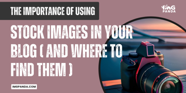 The Importance of Using Stock Images in Your Blog (And Where to Find Them)