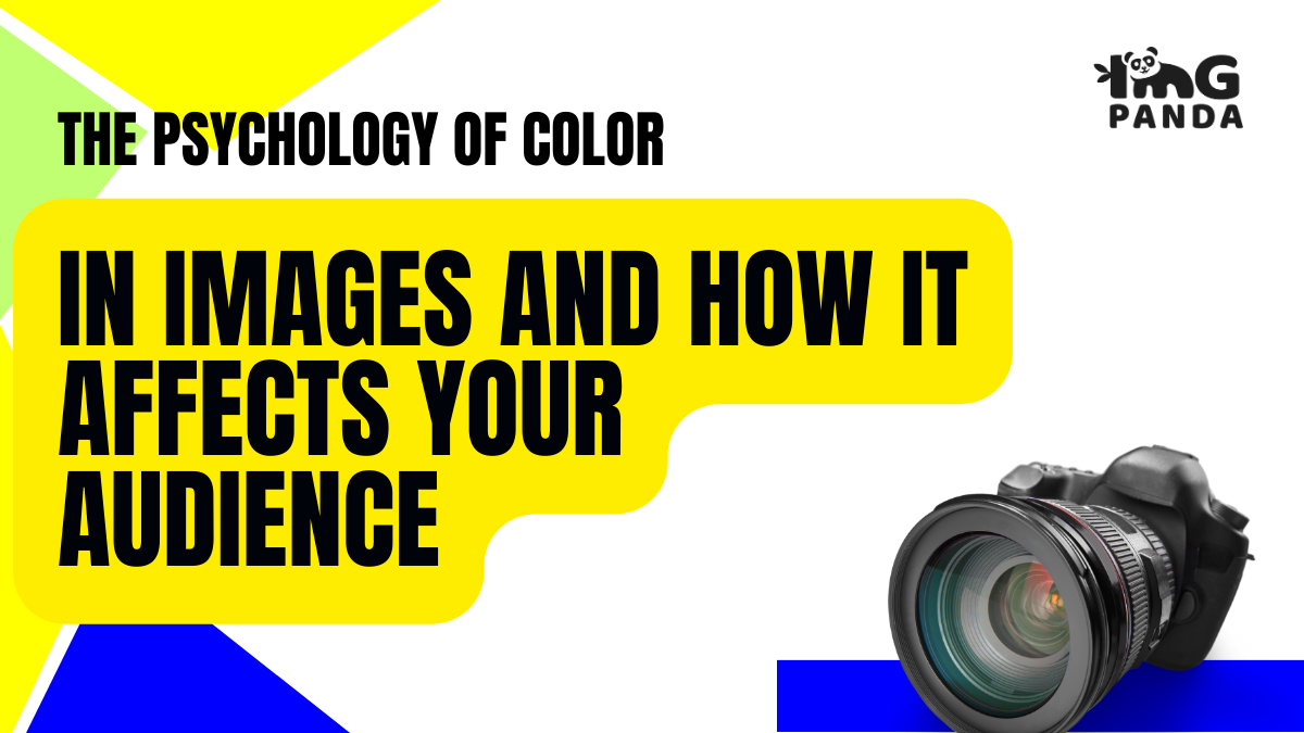 The Psychology Of Color In Images And How It Affects Your Audience