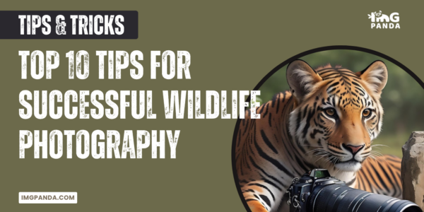 Top 10 Tips for Successful Wildlife Photography