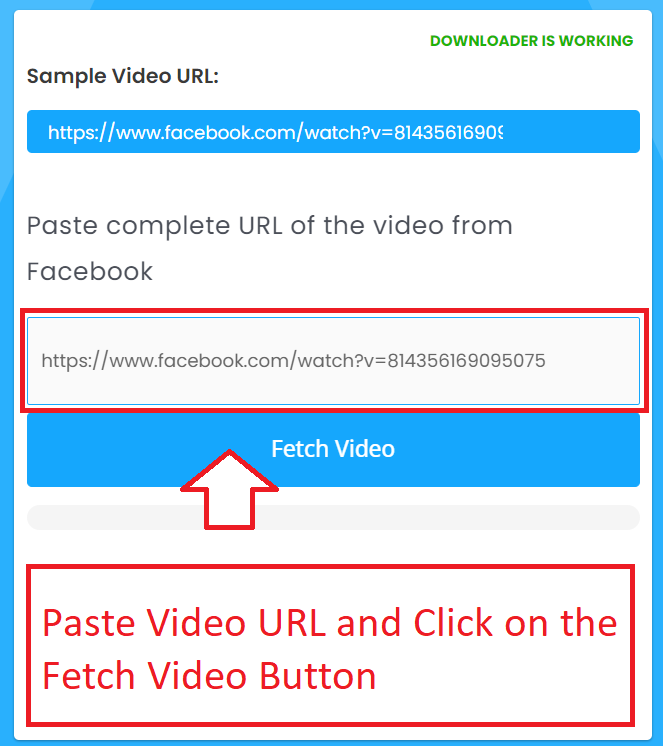 Paste Video URL and Click on the Fetch Video Button