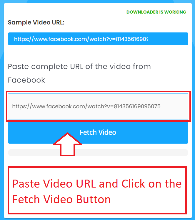 Paste Vide URL and Click on the Fetch Thumbnail Button