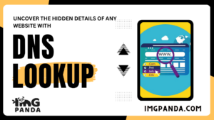 DNS Lookup