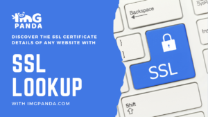 SSL Lookup