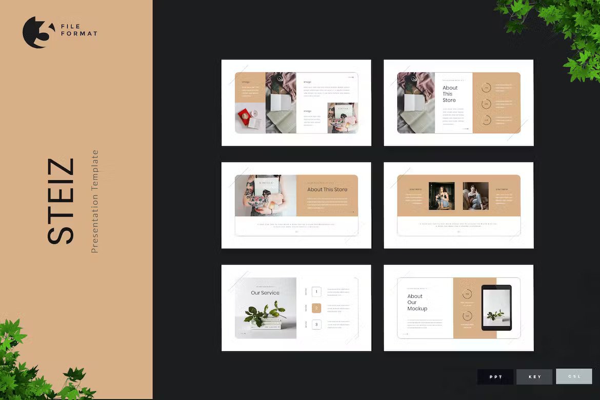 Steiz Bookstore Presentation Template