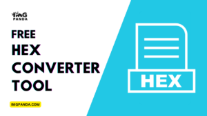Hex Converter