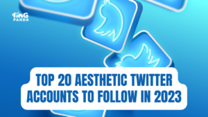 Top 20 Aesthetic Twitter Accounts to Follow in 2023