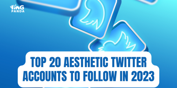 Top 20 Aesthetic Twitter Accounts to Follow in 2023