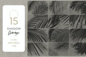 Banner image of Premium Leaves Shadow Overlays  Free Download