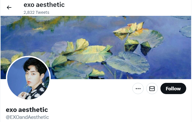 A profile image of the twitter account of exo aesthetic