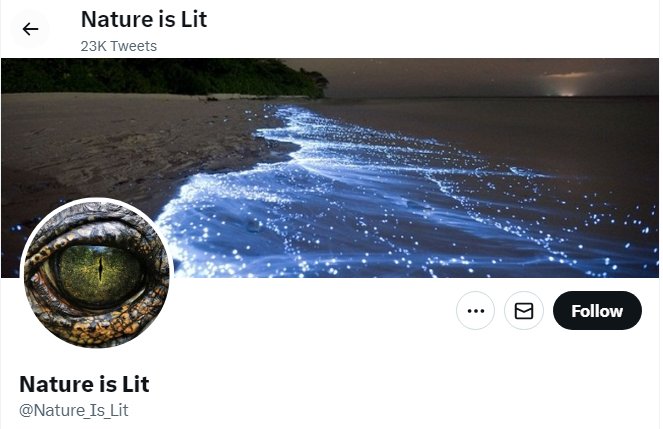 A profile image of the twitter account of Nature is Lit