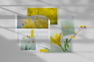 Banner image of Premium Photo Collage Mockup Template  Free Download