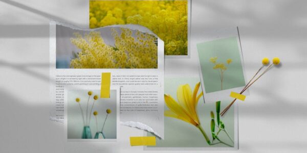 Banner image of Premium Photo Collage Mockup Template  Free Download