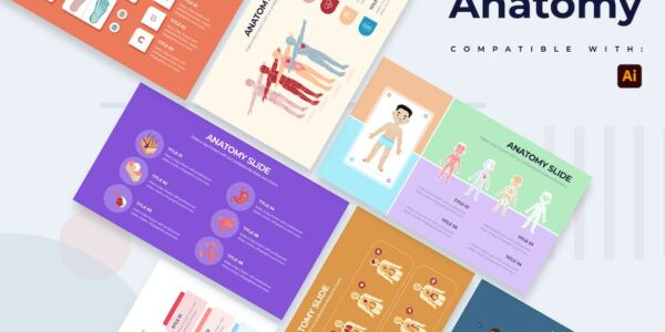 Banner image of Premium Medical Anatomy Slide Illustrator Infographics  Free Download