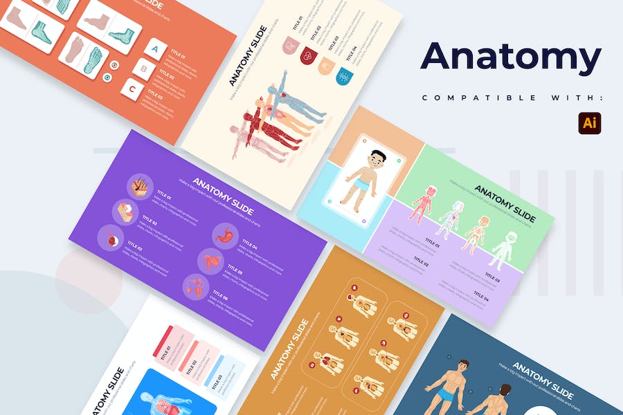 Banner image of Premium Medical Anatomy Slide Illustrator Infographics  Free Download