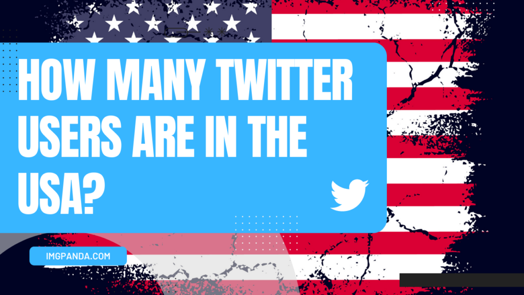 How many Twitter users are in the USA?