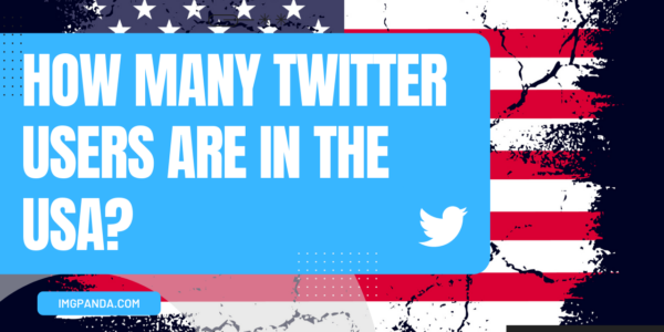 How many Twitter users are in the USA