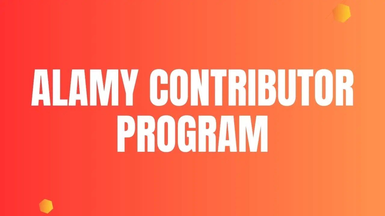 Overview of Alamy's Contributor Program