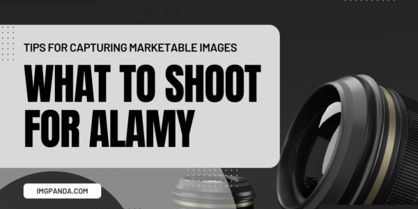 Tips for Capturing Marketable Images What to Shoot for Alamy