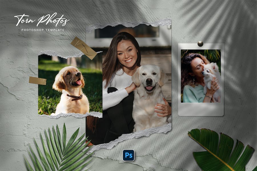 Banner image of Premium  Torn Photo Template   Free Download