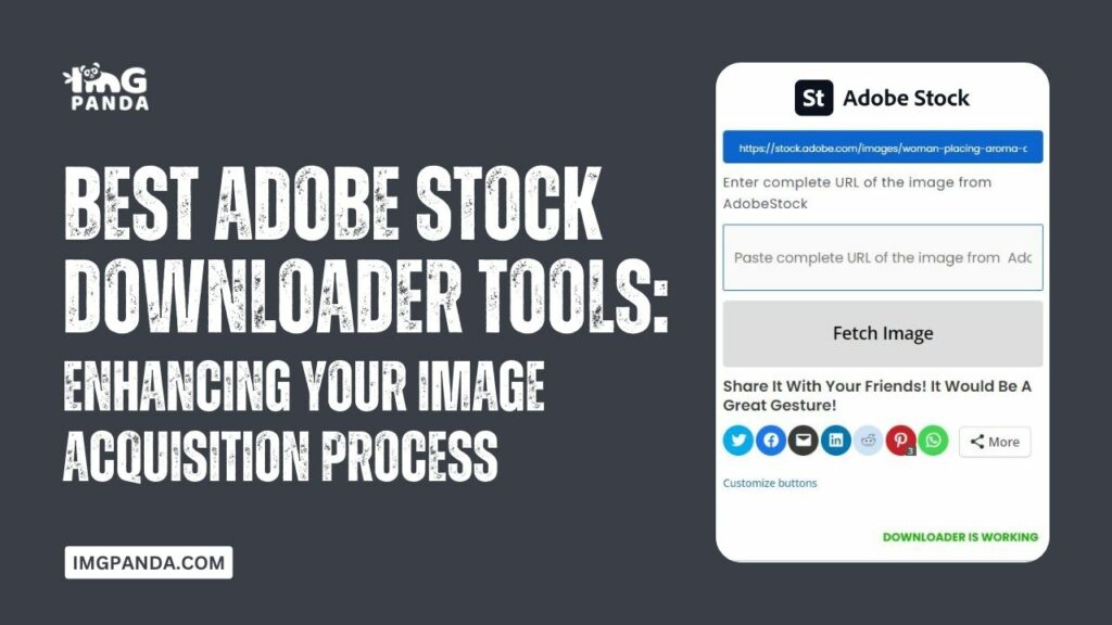 Best Adobe Stock Downloader Tools: Enhancing Your Image Acquisition Process