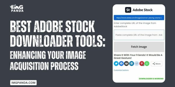 Best Adobe Stock Downloader Tools Enhancing Your Image Acquisition Process