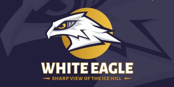 Premium White Eagle Head Logo Free Download