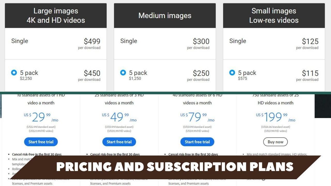 Pricing and Subscription Plans