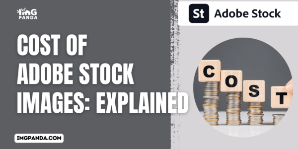 Cost of Adobe Stock Images: Explained