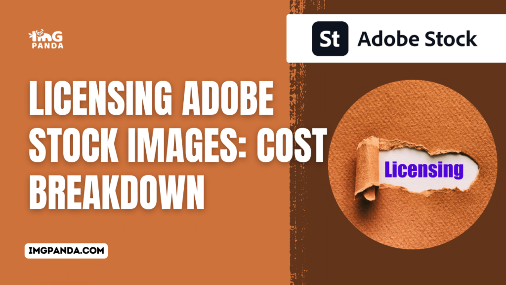 Licensing Adobe Stock Images: Cost Breakdown