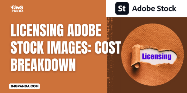 Licensing Adobe Stock Images: Cost Breakdown