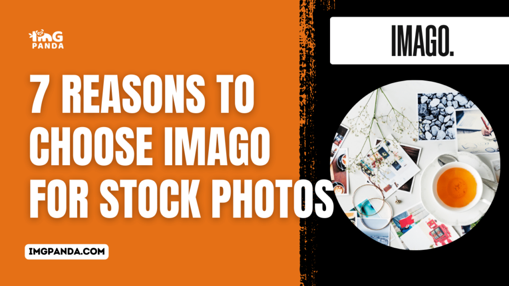 7 Reasons to Choose Imago for Stock Photos