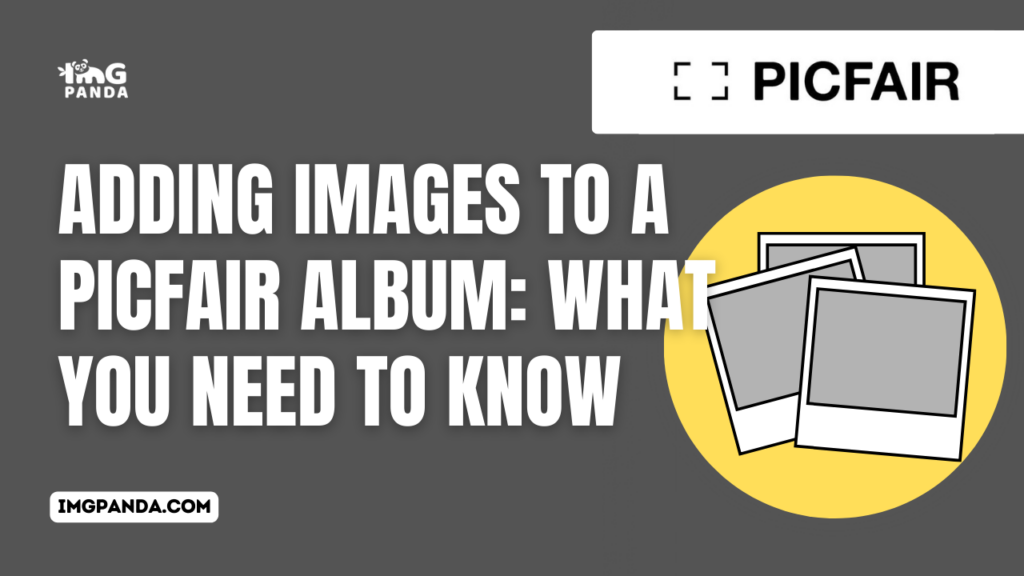 Adding Images to a Picfair Album: What You Need to Know
