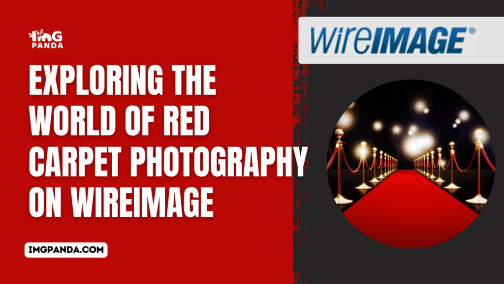 Exploring the World of Red Carpet Photography on WireImage