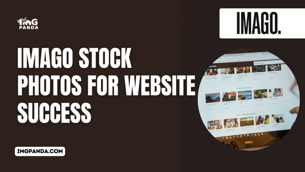 Imago Stock Photos for Website Success