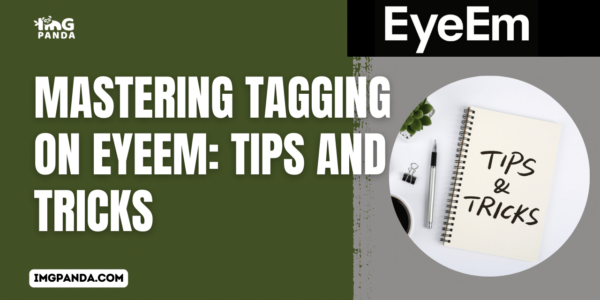 Mastering Tagging on EyeEm Tips and Tricks