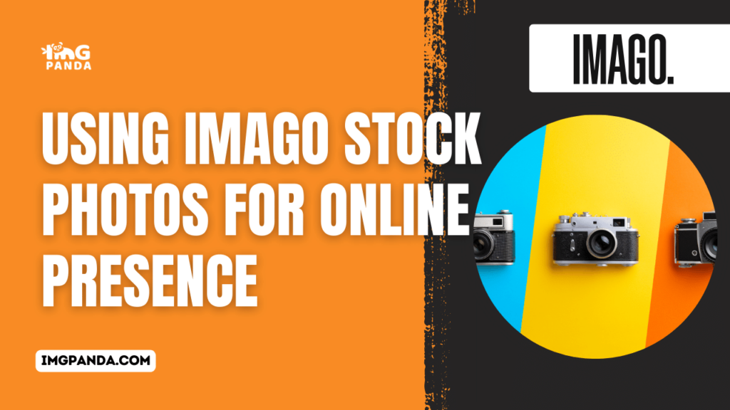 Using Imago Stock Photos for Online Presence