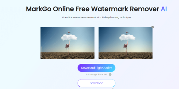 Easy]How to Remove Adobe Stock Watermark Online & Offline