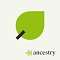 Ancestry Image And Photo Downloader Tool